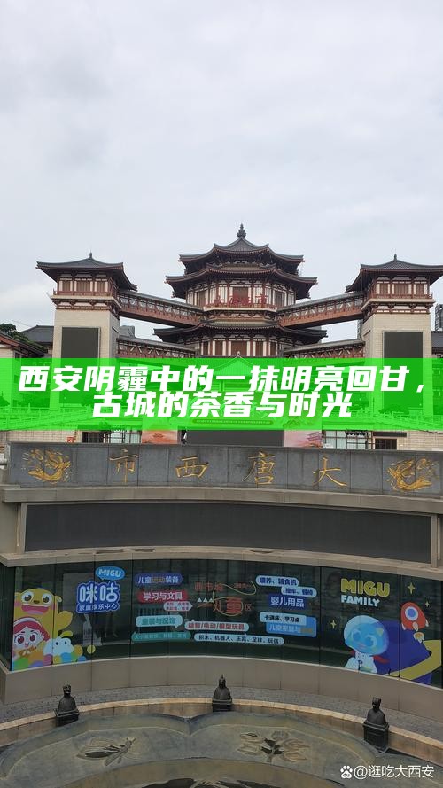 西安阴霾中的一抹明亮回甘，古城的茶香与时光