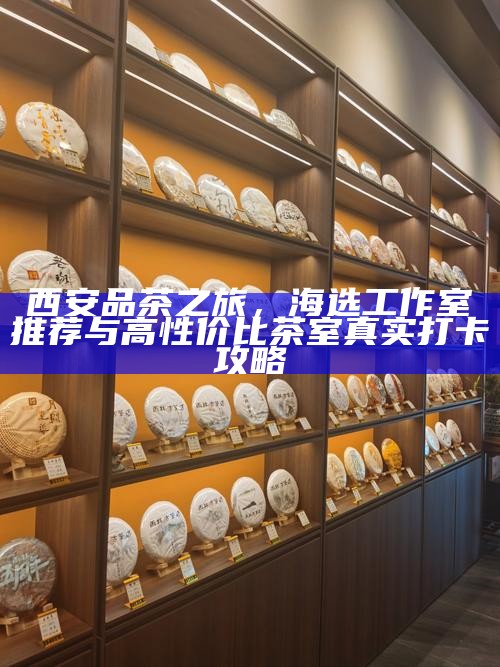 西安品茶之旅，海选工作室推荐与高性价比茶室真实打卡攻略